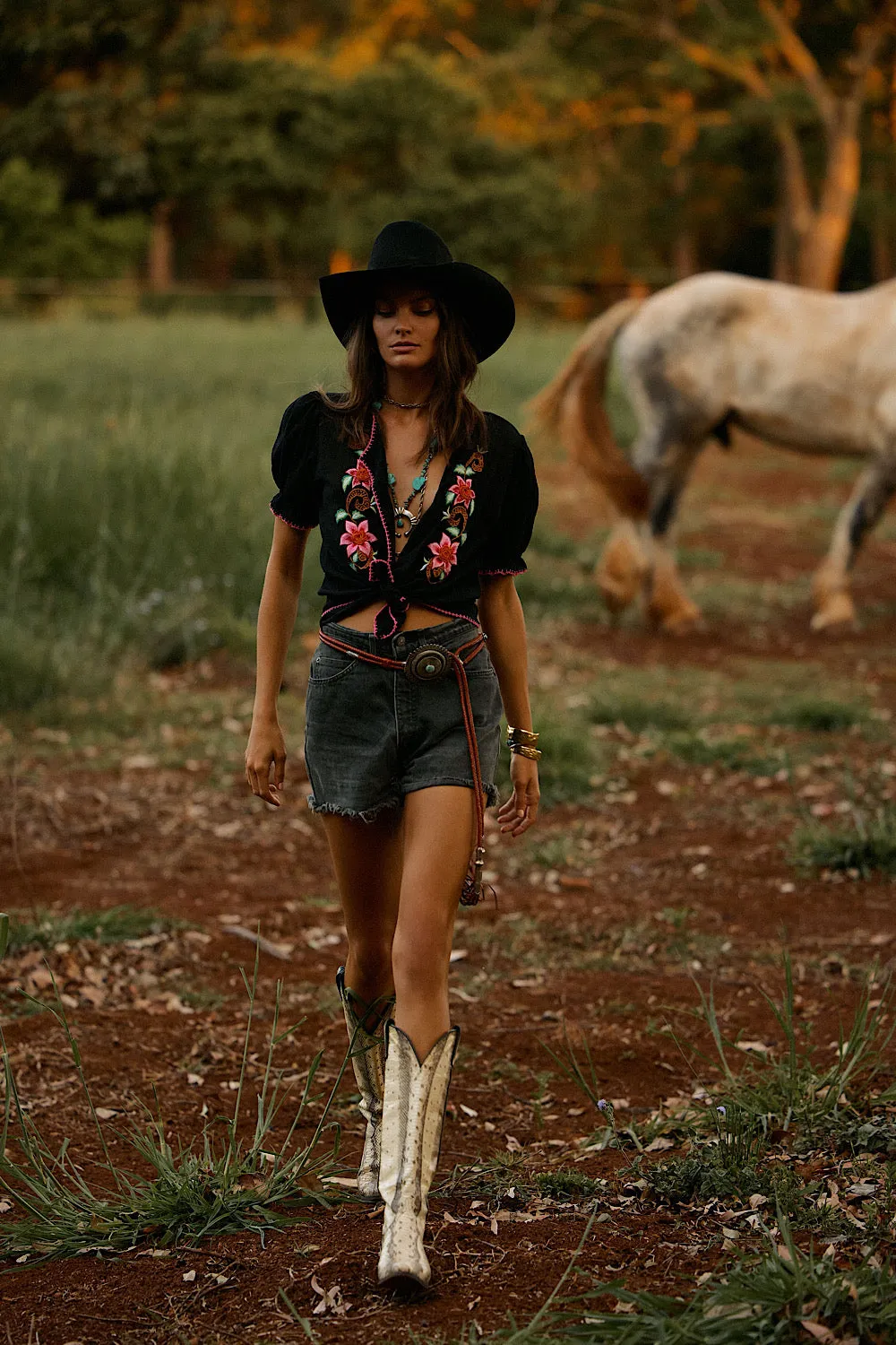 Song Of The Wind Embroidered Blouse